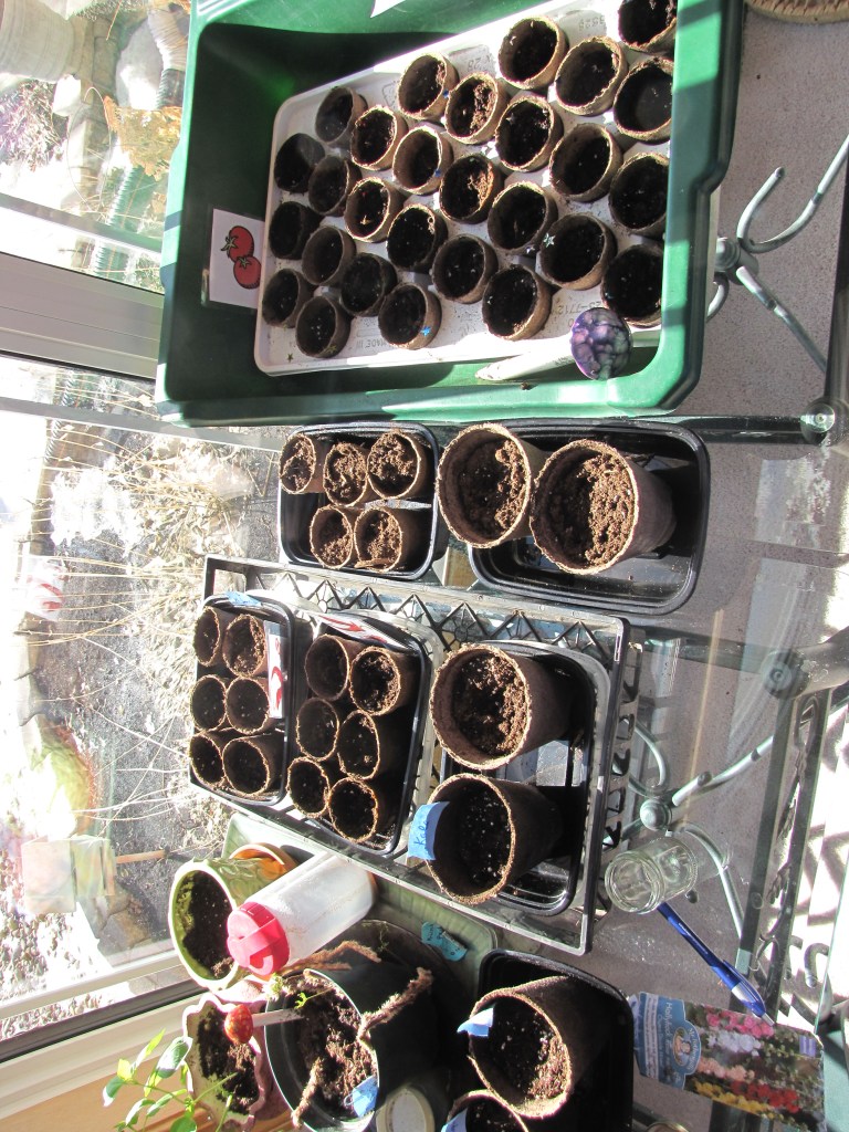 This image has an empty alt attribute; its file name is img_2674.jpg